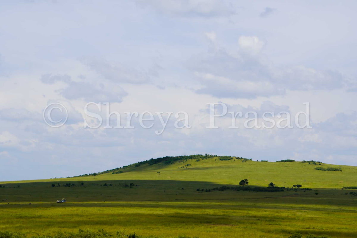 Maasai Mara - Where the Sky Meets the Grass