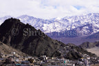 Ladakh - Village Beneath the Peaks