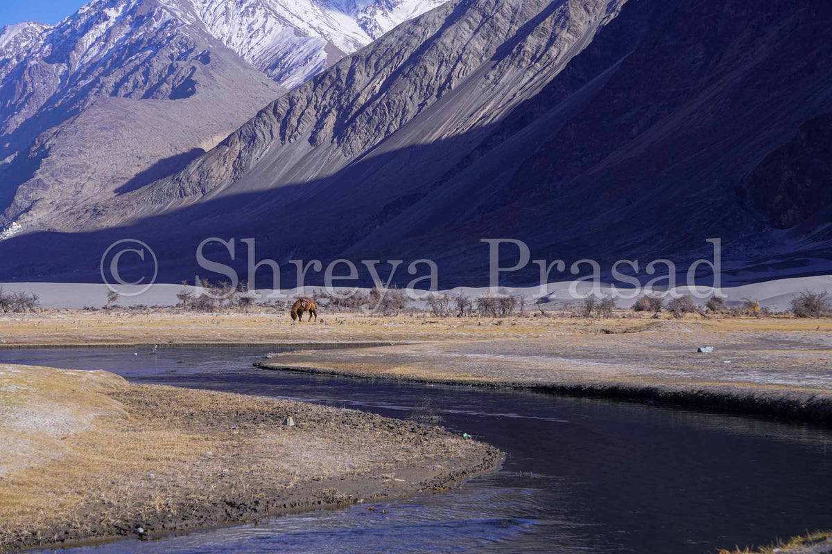 Ladakh - Zanskar Valley