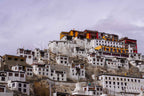Ladakh - Thiksey Monastery
