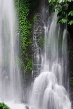 Bali - Nature's White Curtain