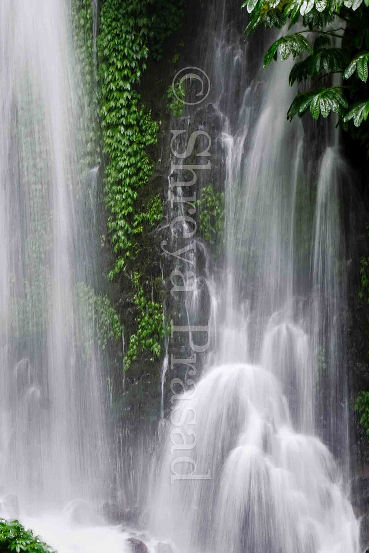Bali - Nature's White Curtain